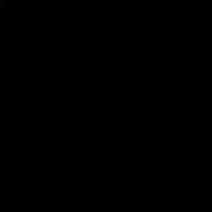 Meet your Posher, Tony